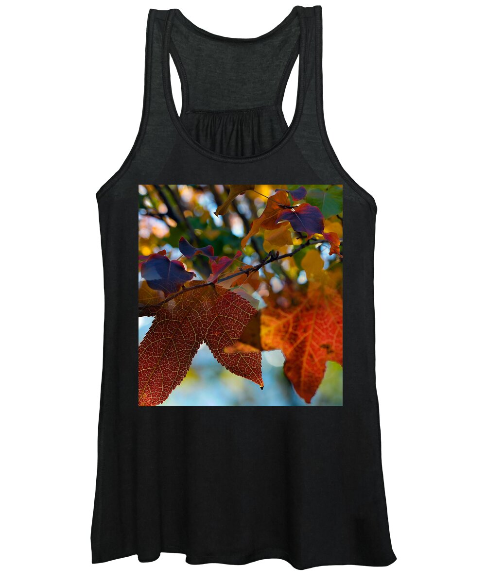 Fall Women's Tank Top featuring the photograph Late Autumn Colors by Stephen Anderson