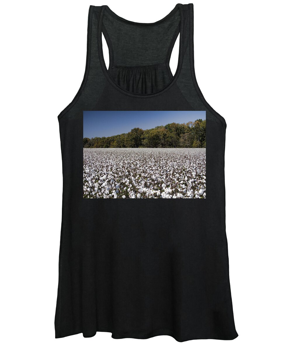 Cotton Women's Tank Top featuring the photograph Limestone County Alabama Cotton Crop by Kathy Clark