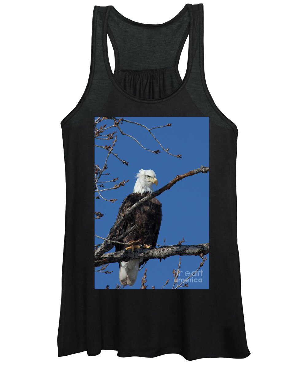 Eagle Women's Tank Top featuring the photograph Majestic Eagle by Jim Schmidt MN