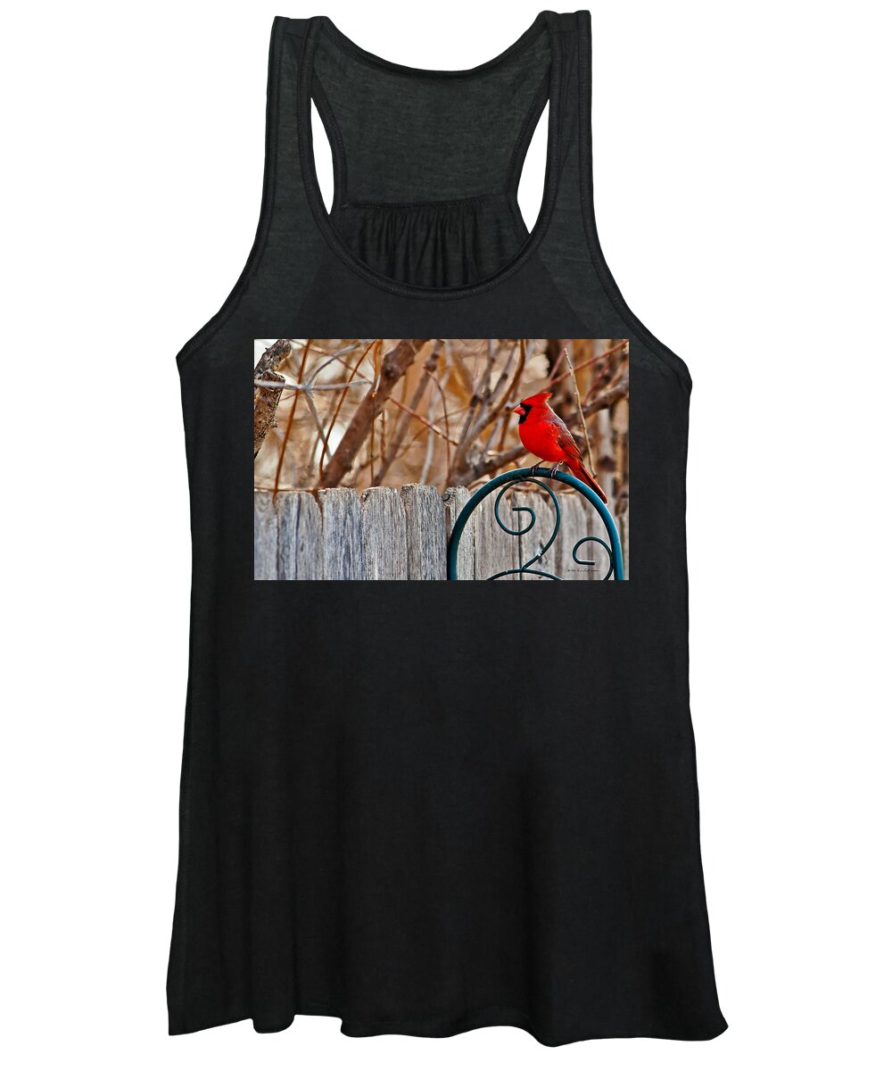 Cardinal Women's Tank Top featuring the photograph Male Cardinal by Ed Peterson