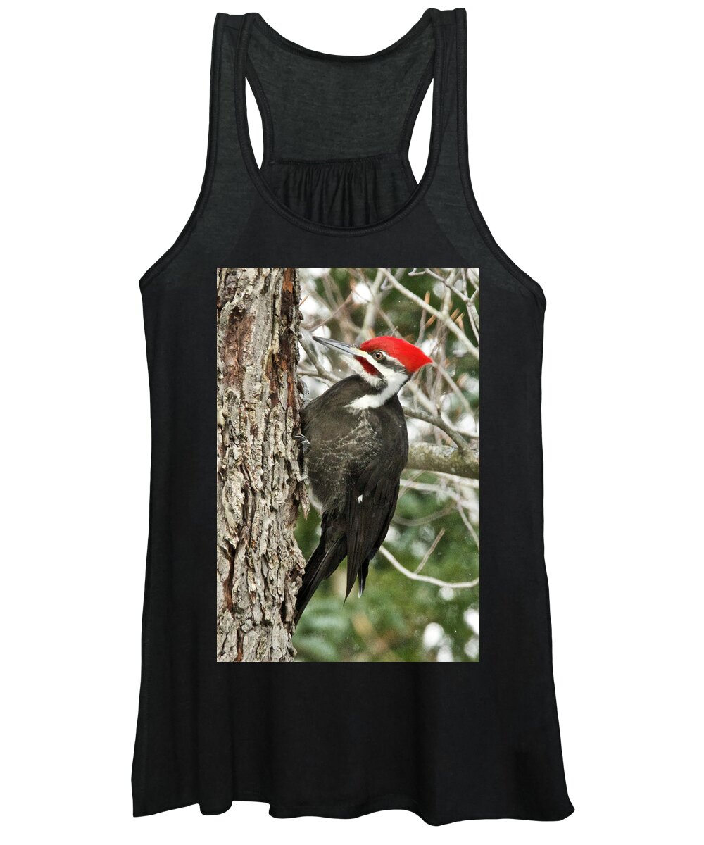 Red Women's Tank Top featuring the photograph Male Pileated Woodpecker 6069. by Michael Peychich