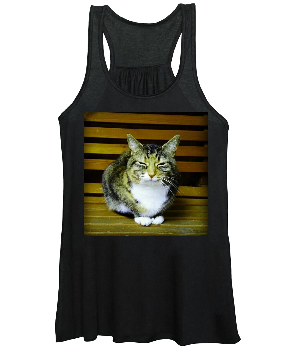 Cat Women's Tank Top featuring the photograph Mindful Cat in Gold by Rowena Tutty