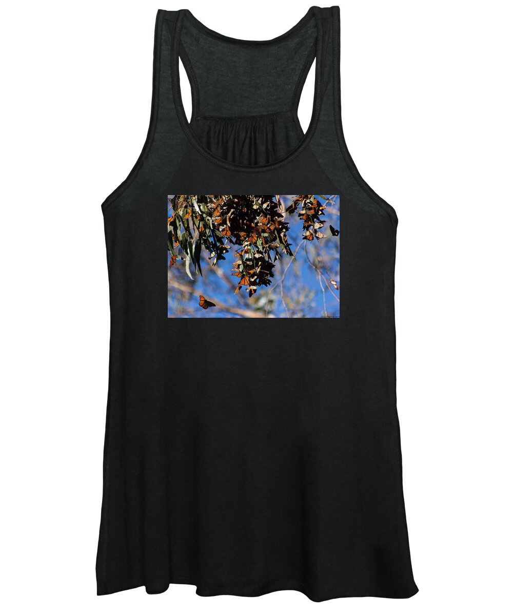 Butterfly Women's Tank Top featuring the photograph Monarch by Lora Lee Chapman