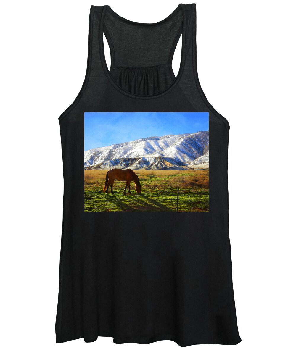 Horse Women's Tank Top featuring the photograph New Spring Grass by Timothy Bulone
