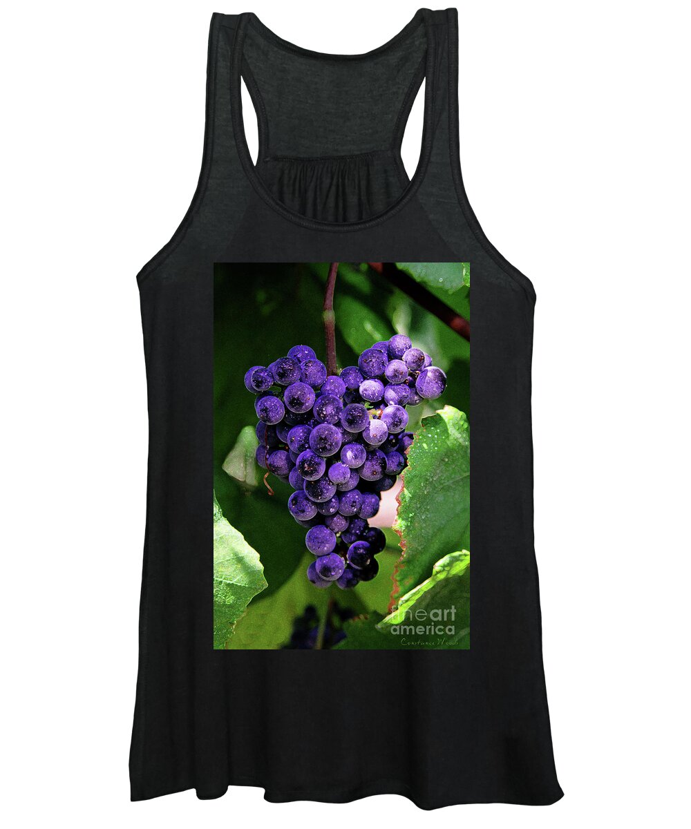 Grapes Art Women's Tank Top featuring the painting New Wine by Constance Woods