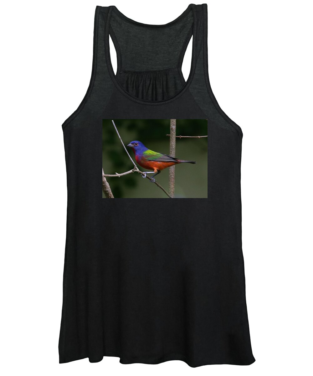 Bird Women's Tank Top featuring the photograph Painted Bunting by Dart Humeston