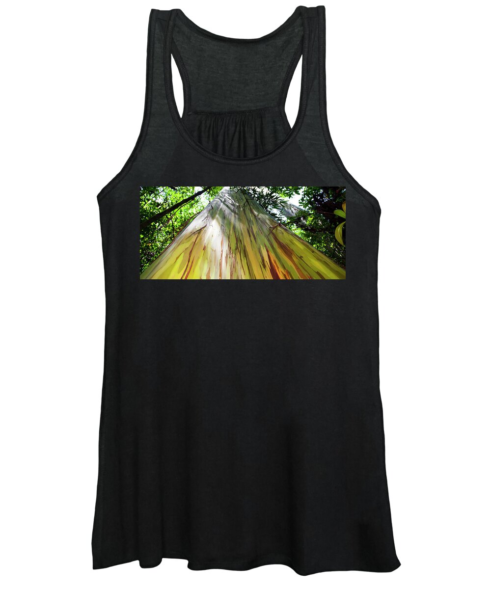 Painted Eucalyptus Tree Women's Tank Top featuring the photograph Painted Tree by Anthony Jones