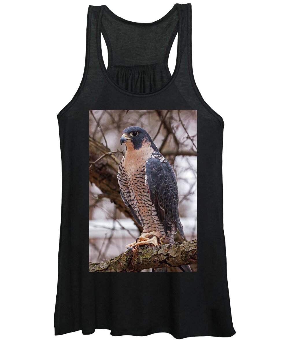 Falcon Women's Tank Top featuring the photograph Peregrine Falcon by Ira Marcus
