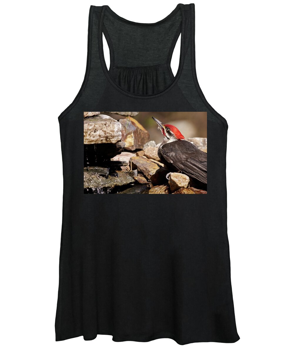 Bird Women's Tank Top featuring the photograph Pileated Woodpecker2 by Loni Collins