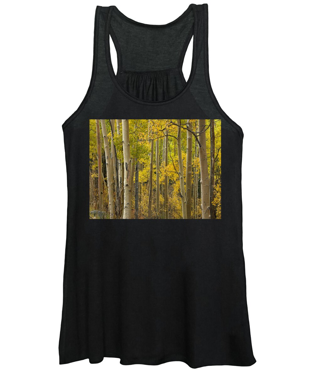 00438922 Women's Tank Top featuring the photograph Quaking Aspen Trees In Autumn Santa Fe by Tim Fitzharris
