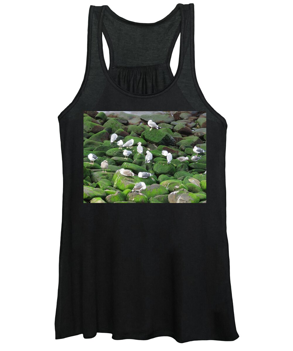 La Jolla Cove Women's Tank Top featuring the photograph Rocks and Gulls by Keith Stokes