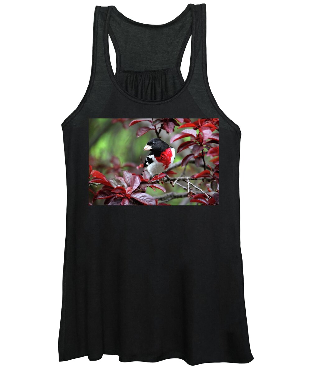 Birds Women's Tank Top featuring the photograph Rose-Breasted Grosbeak by Trina Ansel