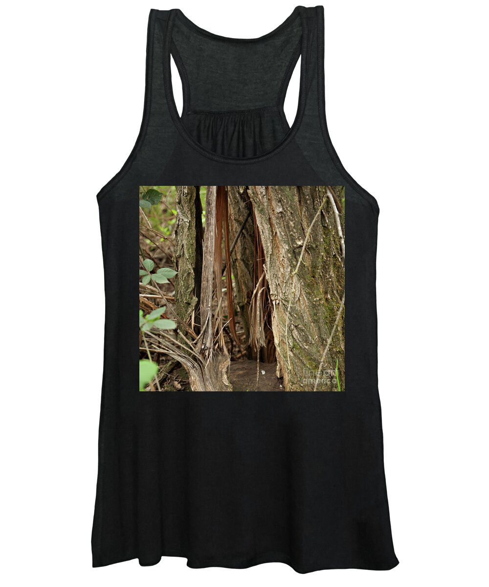 Anderson River Park Women's Tank Top featuring the photograph Shredded Tree by Carol Lynn Coronios