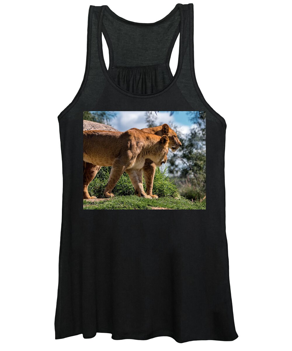 Lion Women's Tank Top featuring the photograph Sister's Overlook by American Landscapes