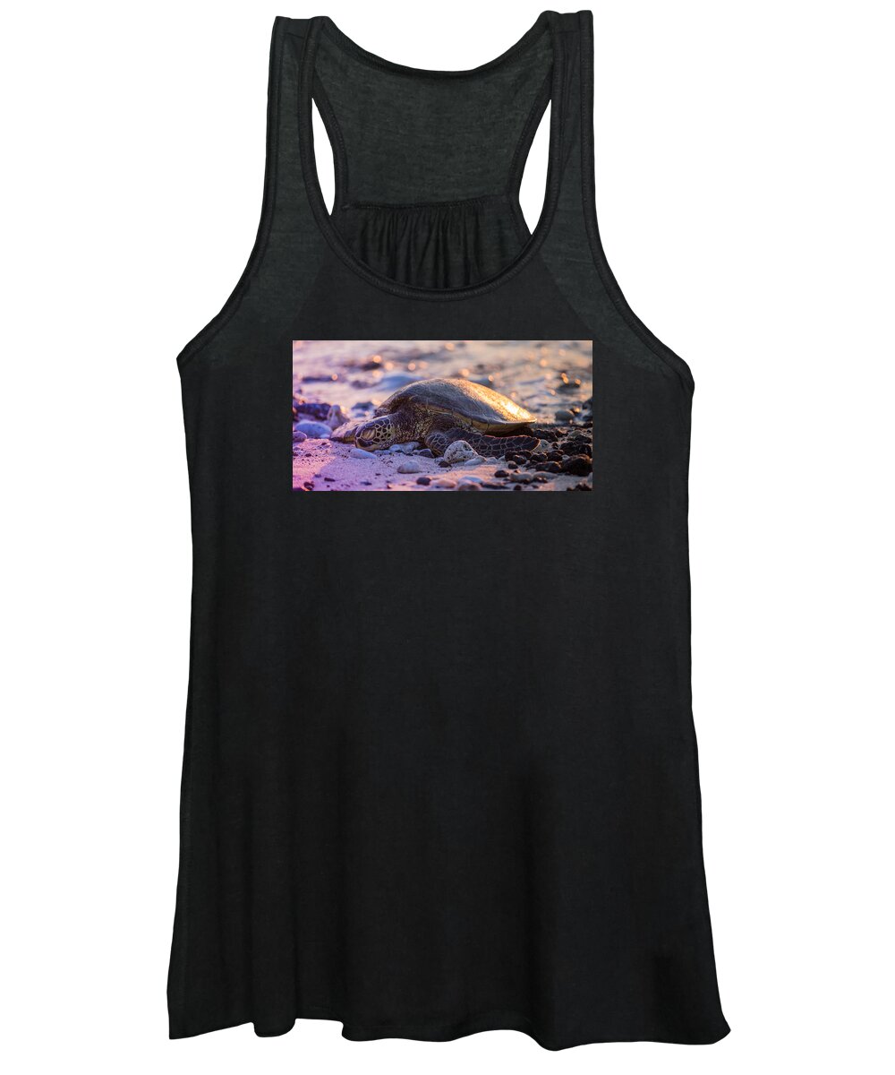 Sam Amato Photography Women's Tank Top featuring the photograph Sleeping Sunset Turtle by Sam Amato