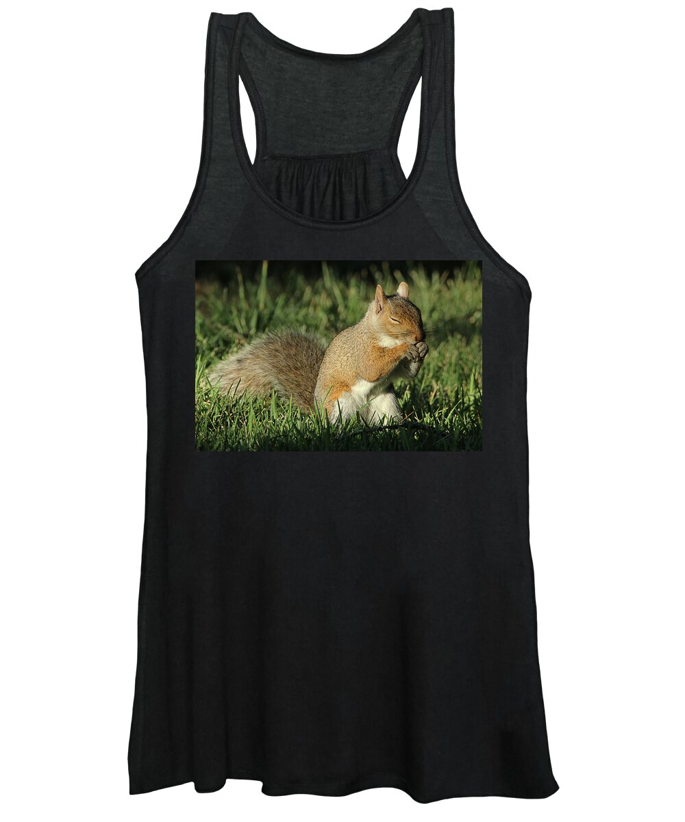 Squirrel Women's Tank Top featuring the photograph Sleepy by David Stasiak