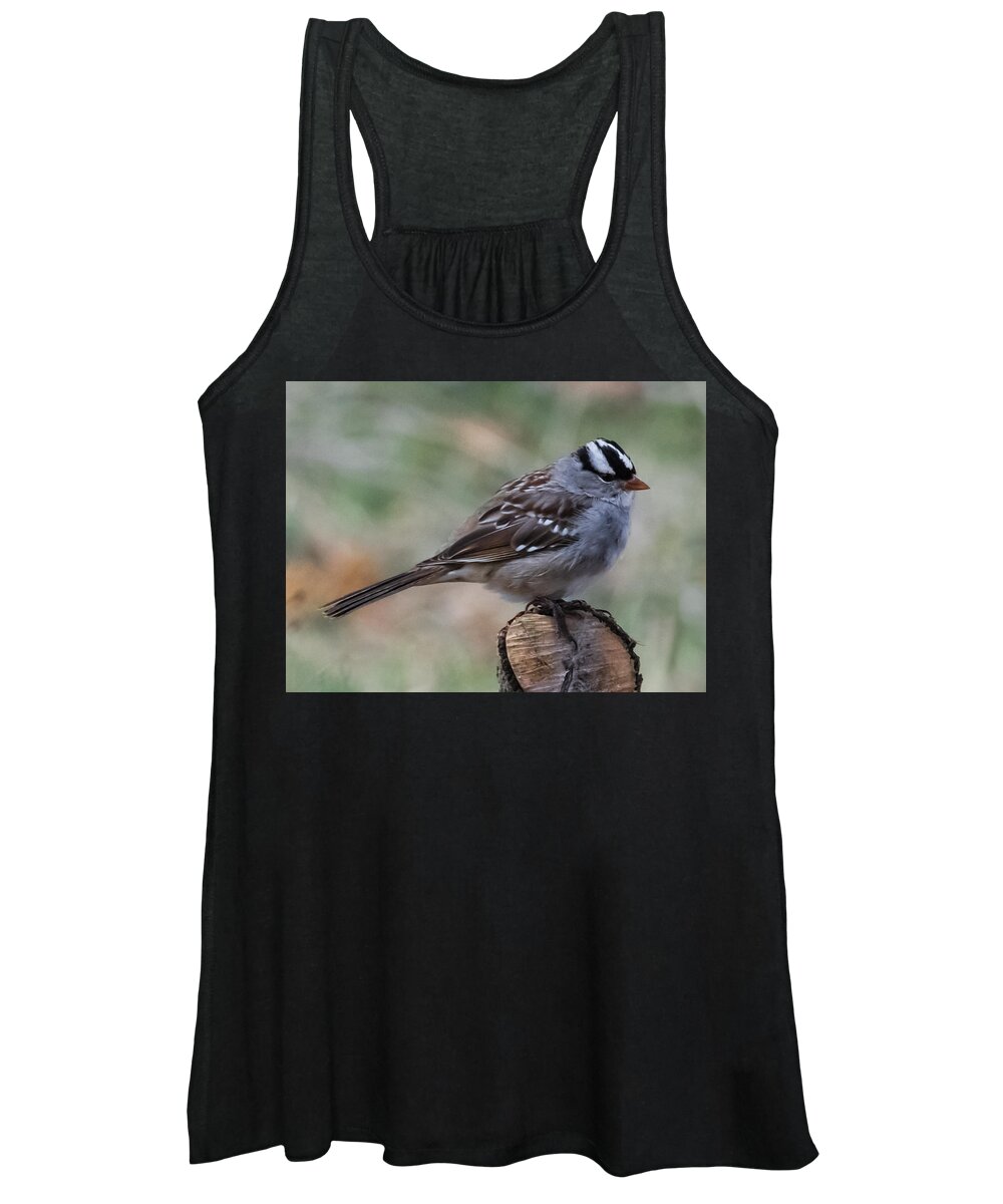Jan Holden Women's Tank Top featuring the photograph Sparrow   by Holden The Moment