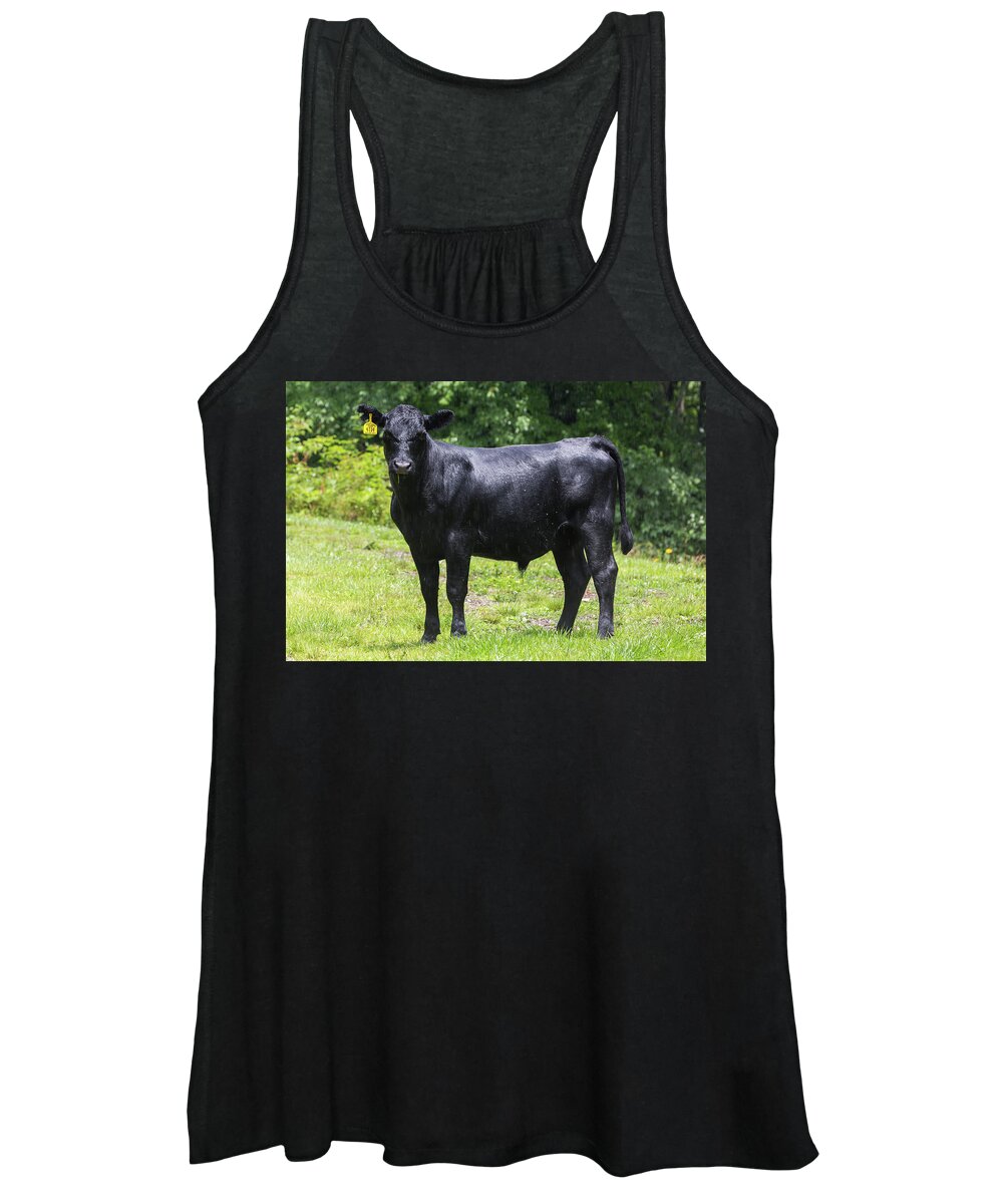 Steer Women's Tank Top featuring the photograph Staring Steer by D K Wall