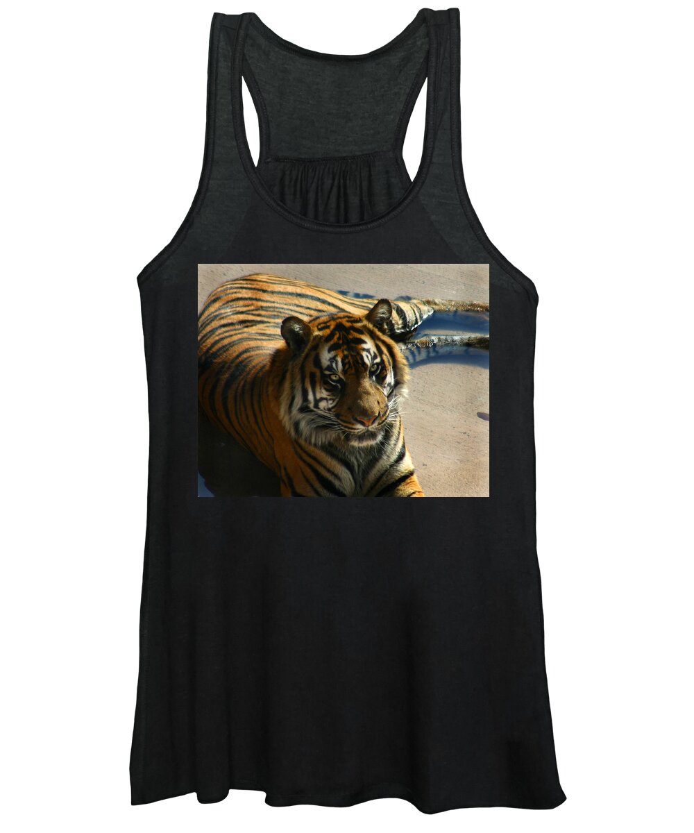 Tiger Women's Tank Top featuring the photograph Sumatran Tiger by Anthony Jones