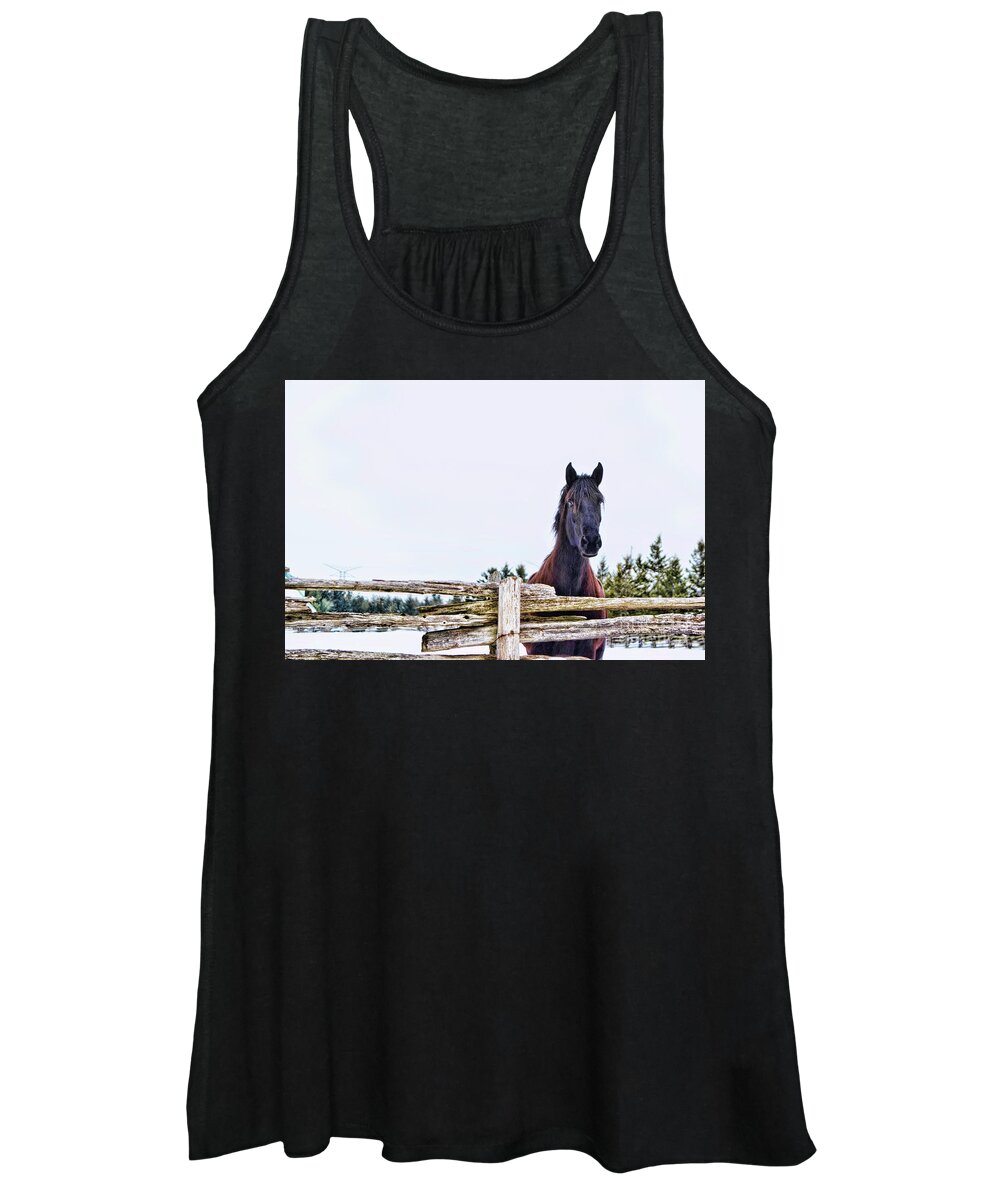 Horse Women's Tank Top featuring the photograph The Watcher 2 by Traci Cottingham