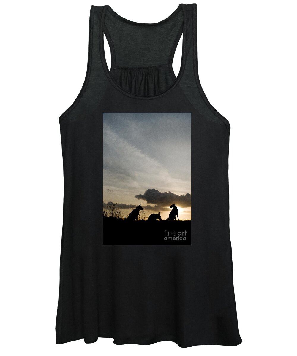 Dog Women's Tank Top featuring the photograph Three dogs at sunset by Clayton Bastiani
