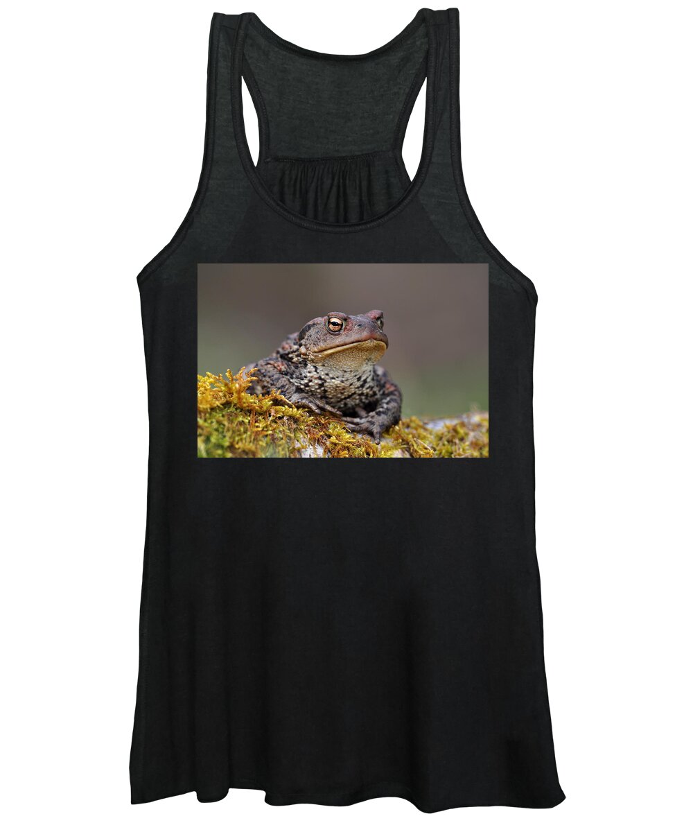 Common Toad Women's Tank Top featuring the photograph Toad by Gavin Macrae