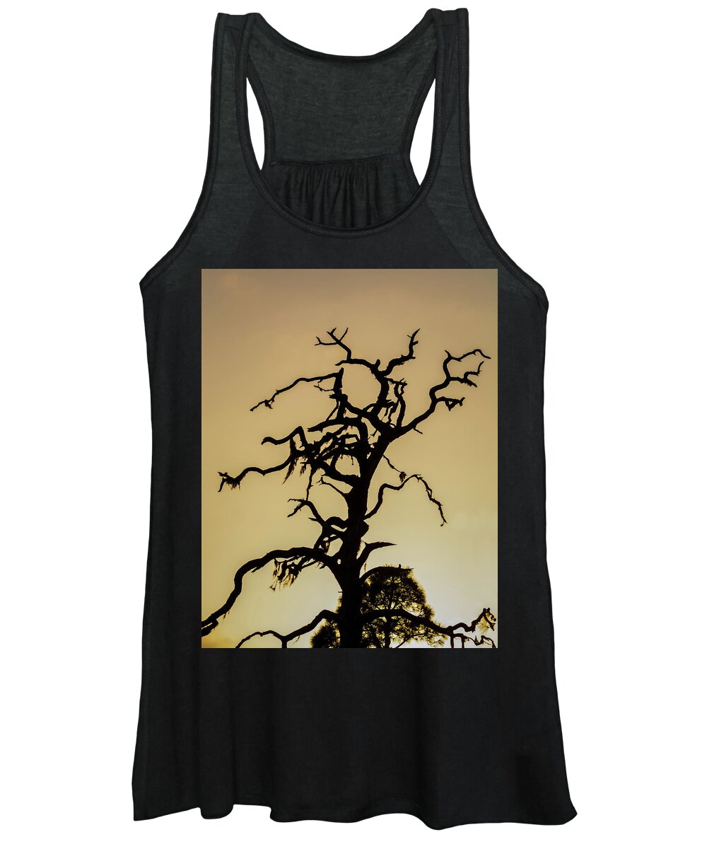 Silhouette Women's Tank Top featuring the photograph Tree Silhouette by Robert Mitchell