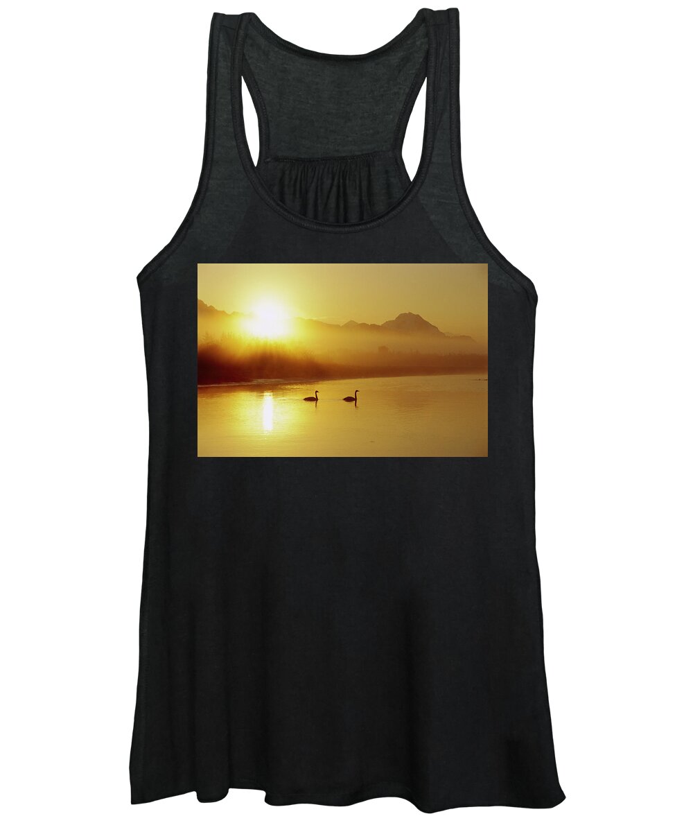 Mp Women's Tank Top featuring the photograph Trumpeter Swan Cygnus Buccinator Pair by Michael Quinton