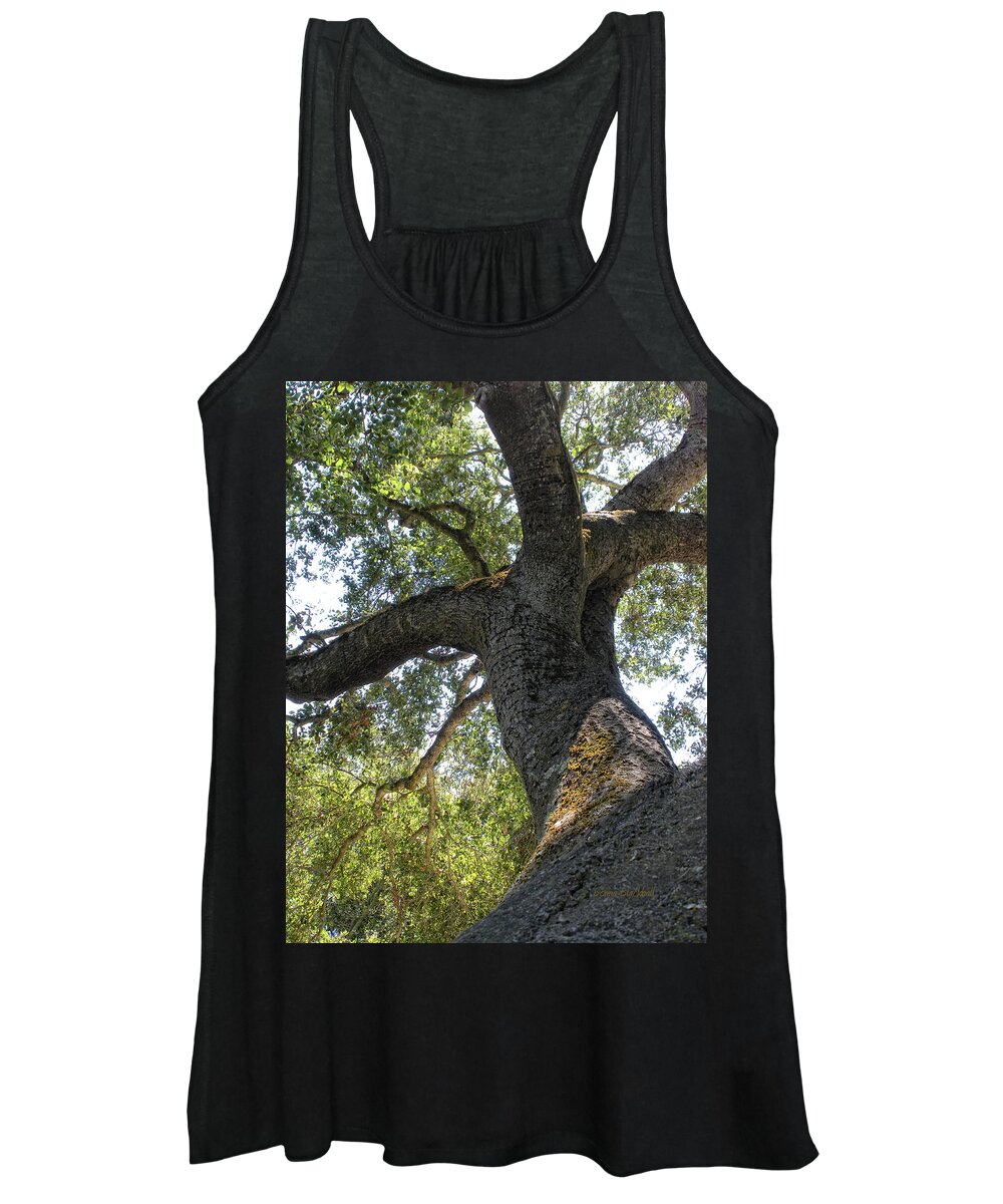 Tree Women's Tank Top featuring the photograph Twisted Viewpoint by Donna Blackhall