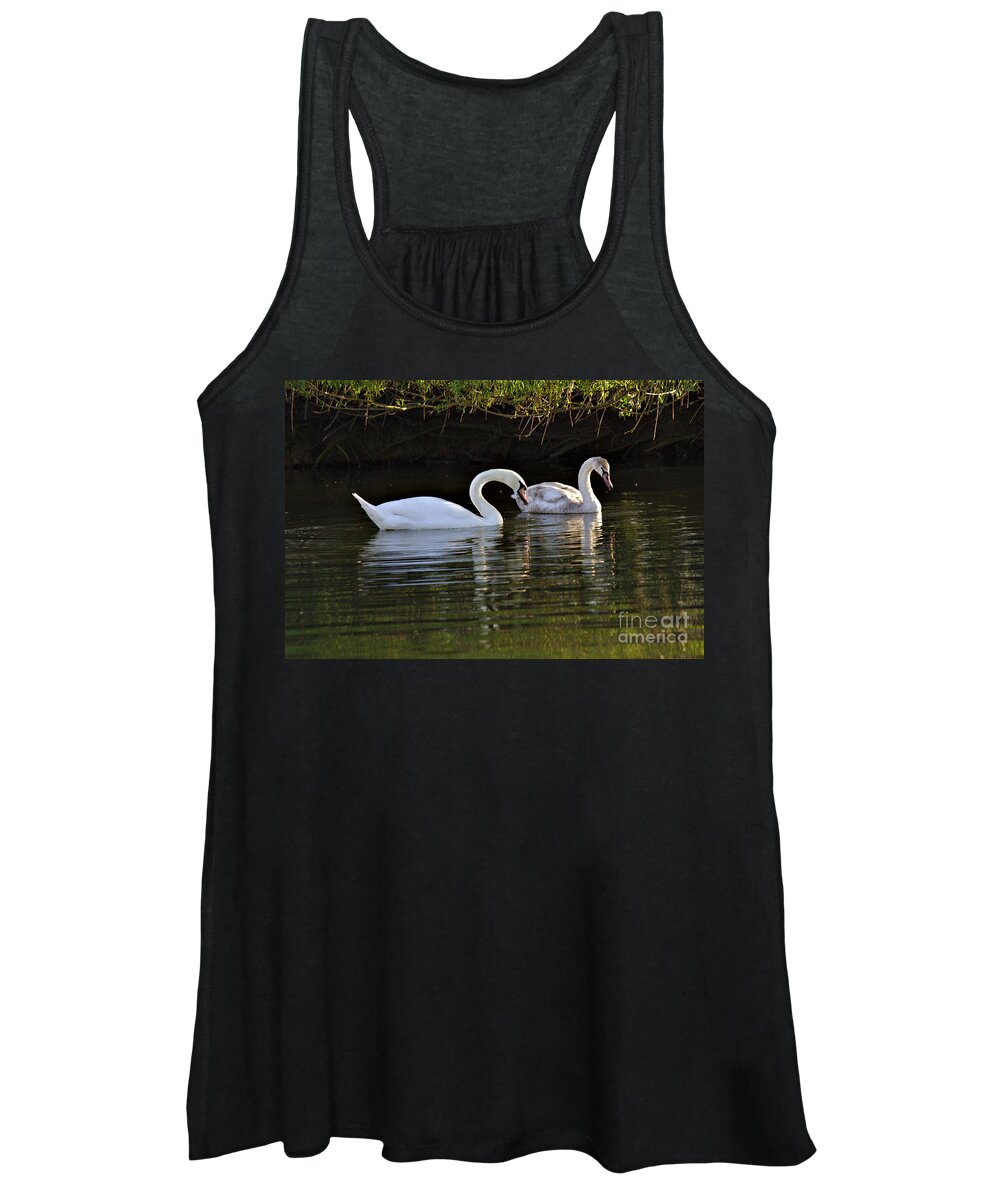 St James Lake Women's Tank Top featuring the photograph Young and Older Swans by Jeremy Hayden