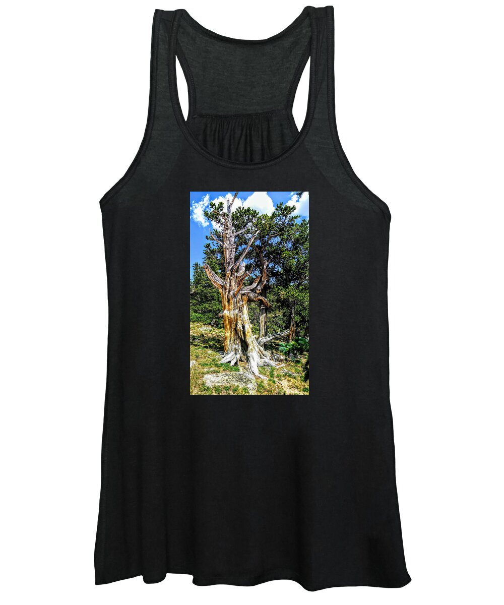 Tree Women's Tank Top featuring the photograph Bristlecone1 2018 by Aaron Bombalicki