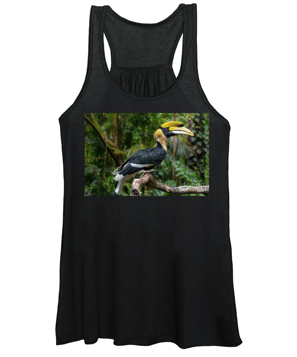Great Hornbill Women's Tank Top featuring the photograph Buceros bicornis by Arterra Picture Library
