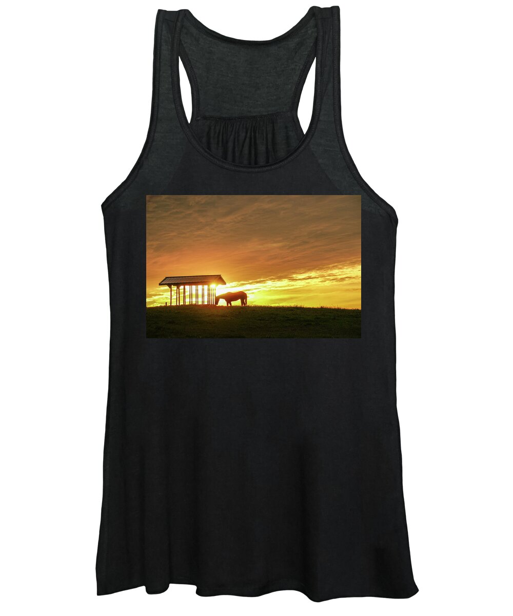 Horse Women's Tank Top featuring the photograph Horse in the Spotlight by Tana Reiff
