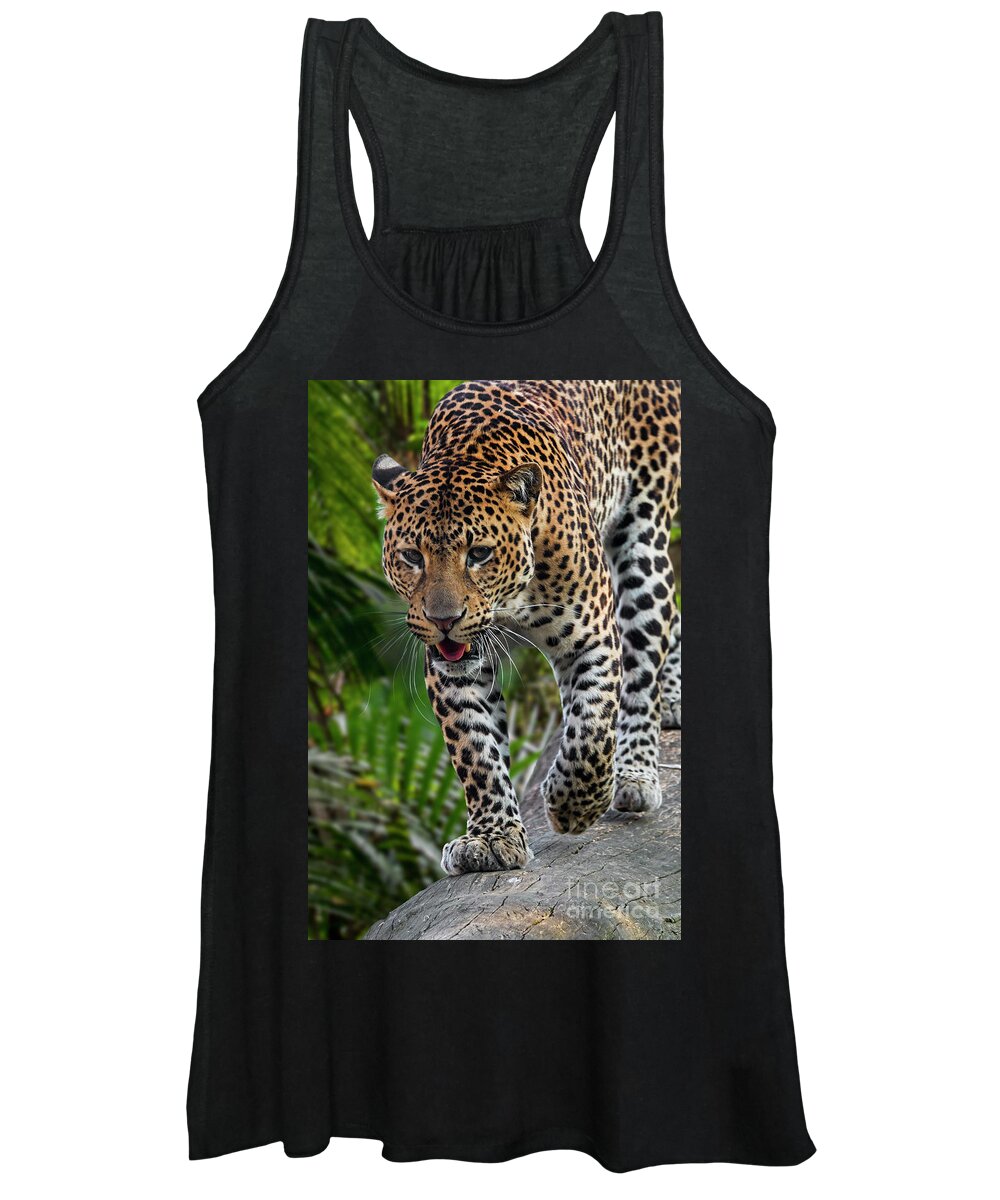 Javan Leopard Women's Tank Top featuring the photograph Hunting Leopard by Arterra Picture Library