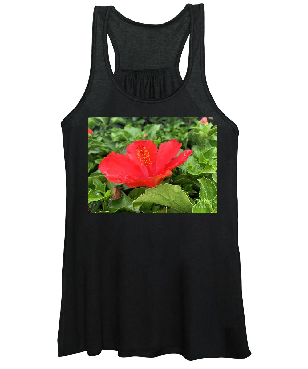 Flowers Women's Tank Top featuring the photograph Flower Joy #1 by Catherine Wilson
