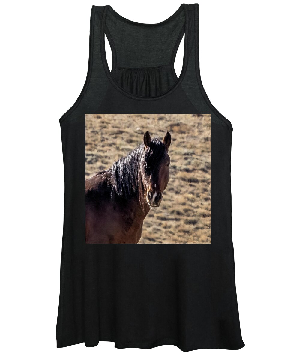 Horse Women's Tank Top featuring the photograph Stallion #1 by Laura Terriere