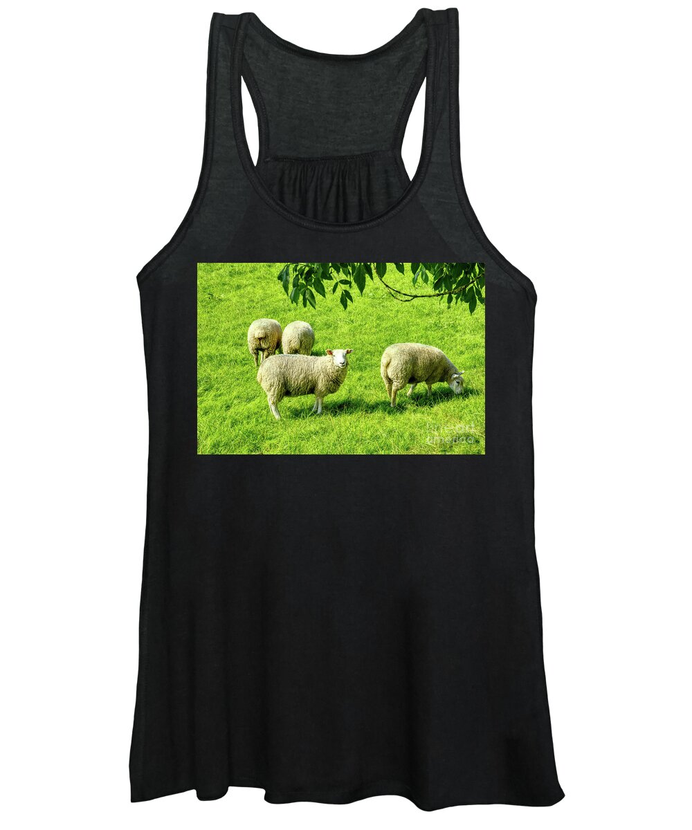 Sheep Women's Tank Top featuring the photograph A flock of sheep in a field in Heywood, Grt Manchester, England, UK by Pics By Tony