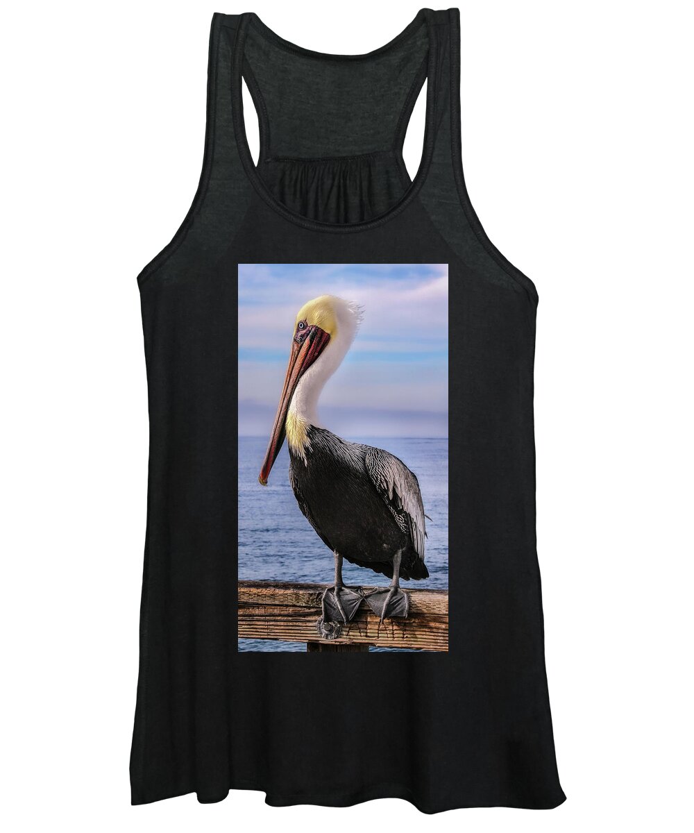 Bird Photography Women's Tank Top featuring the photograph Alan the Pretty Pelican 2 by Sally Bauer
