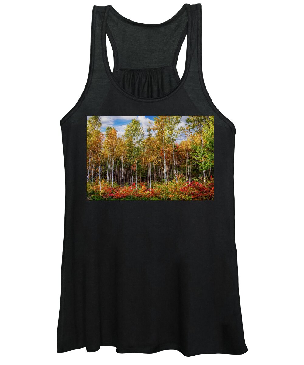 Maine Birch Trees Women's Tank Top featuring the photograph Birch trees turn to gold by Jeff Folger