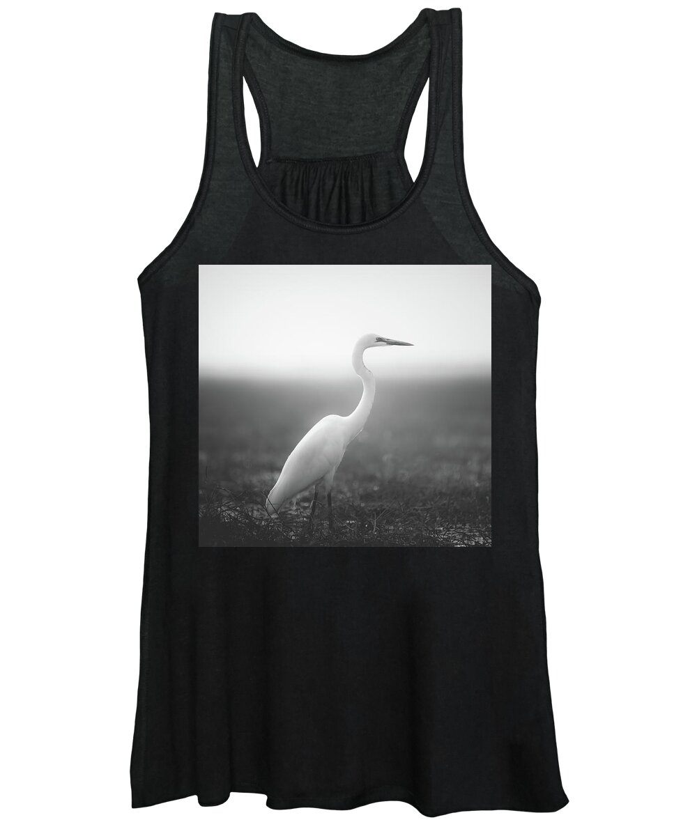 Birds Women's Tank Top featuring the photograph Bird in Dream by Dheeraj Mutha