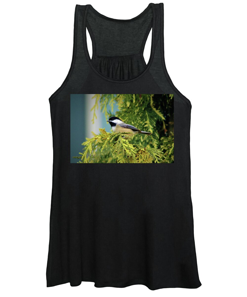 Bird Women's Tank Top featuring the photograph Black-capped Chickadee by Jason Judd