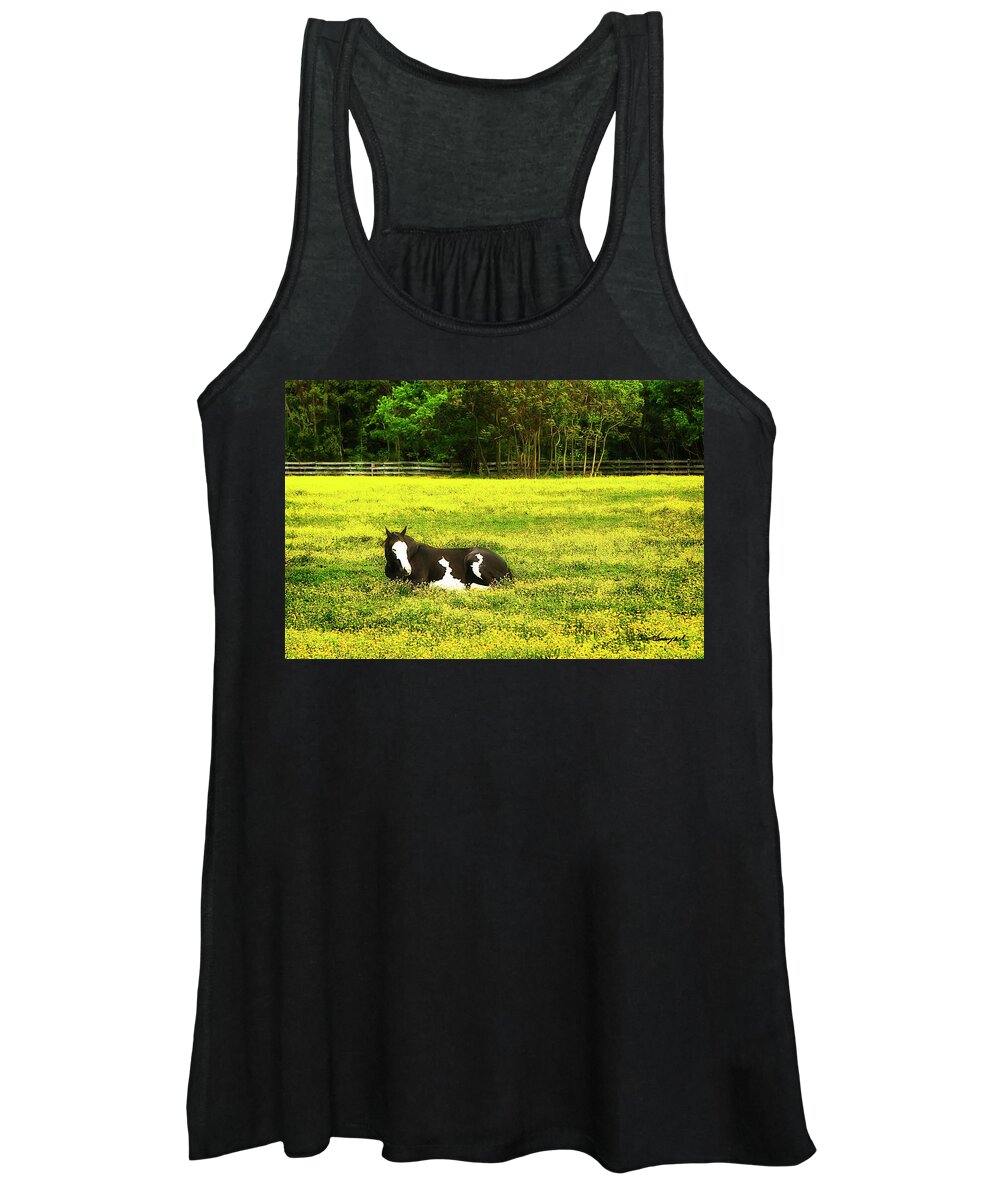 Photo Women's Tank Top featuring the photograph Black Pinto -2 by Alan Hausenflock