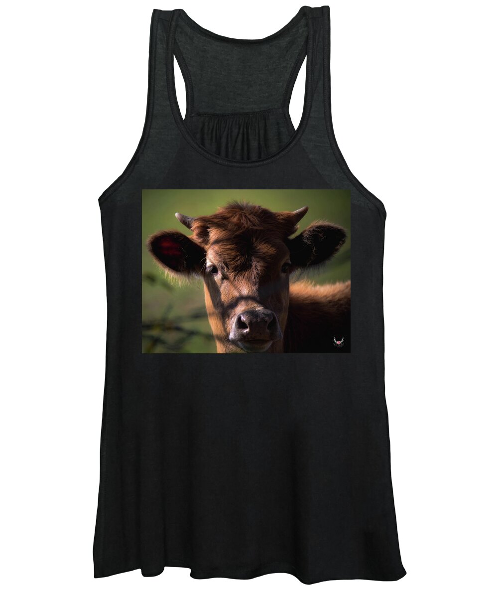 Cow Women's Tank Top featuring the photograph Brown Cow by Pam Rendall