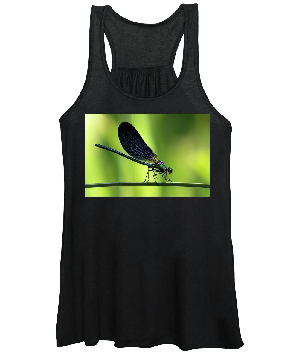 Calopteryx Women's Tank Top featuring the photograph Calopteryx virgo - the Beautiful Demoiselle by Olivier Parent
