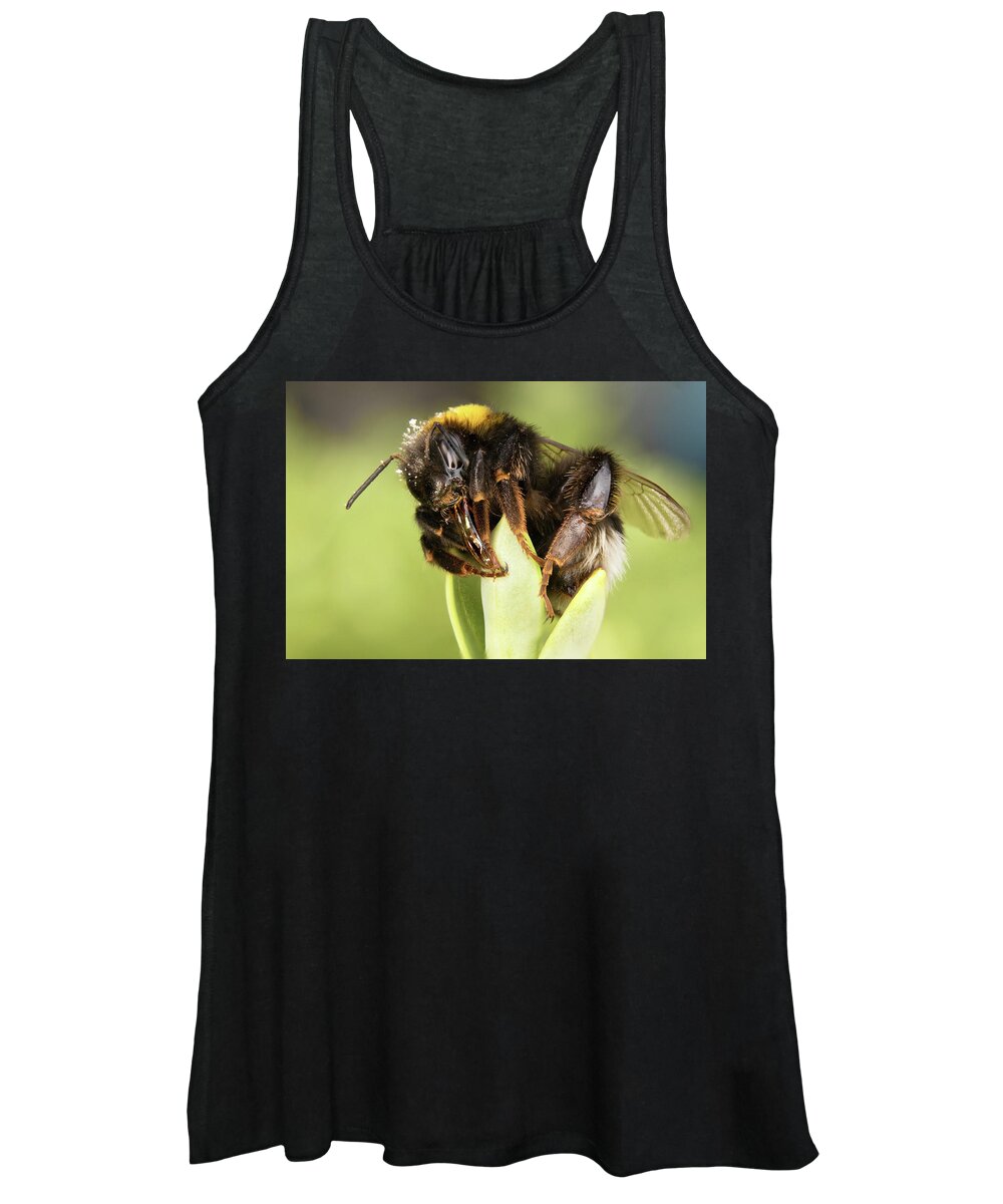 Nature Women's Tank Top featuring the photograph Close Up Of An Earth Bumblebee by MPhotographer