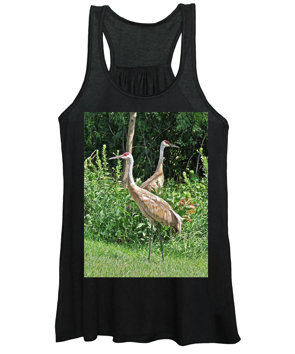Birds Women's Tank Top featuring the photograph Cranes at Acewood Basin by Janis Senungetuk