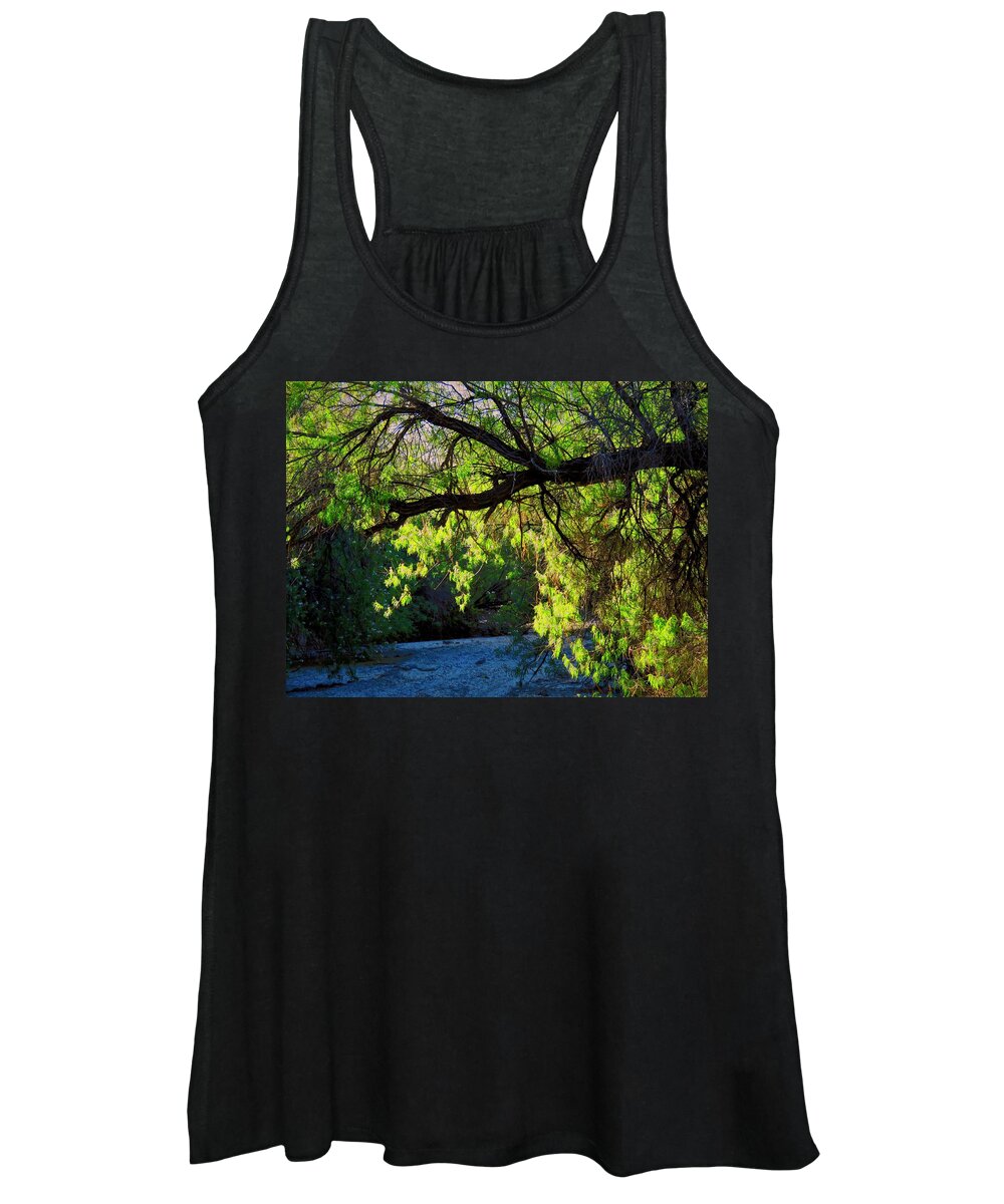 Desert Plants Women's Tank Top featuring the photograph Deep in the Vekol by Judy Kennedy