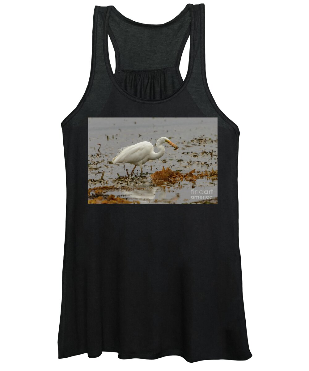 Nature Women's Tank Top featuring the photograph Eastern Great Egret 10 by Werner Padarin