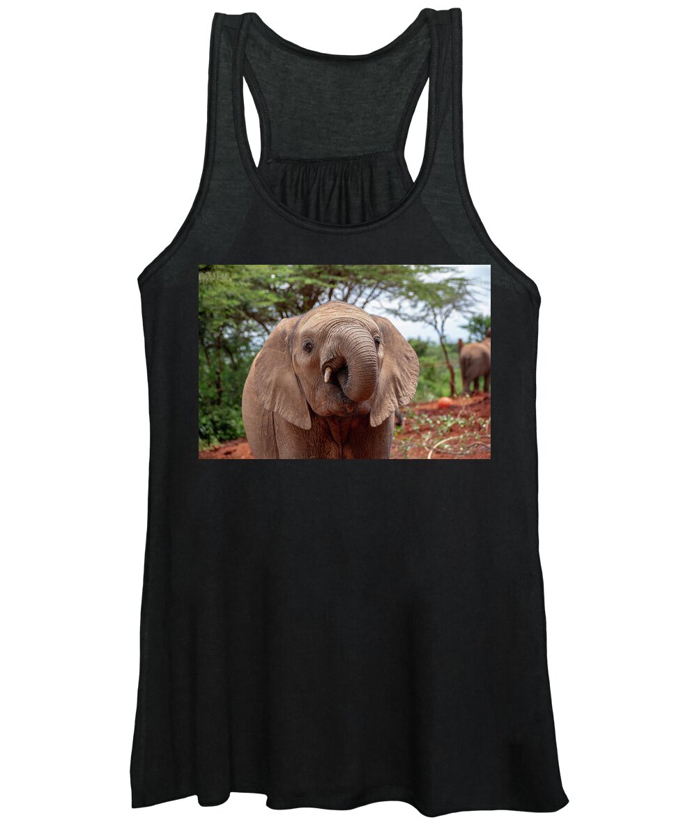 Elephant Women's Tank Top featuring the photograph Elephant with curled trunk by Gareth Parkes