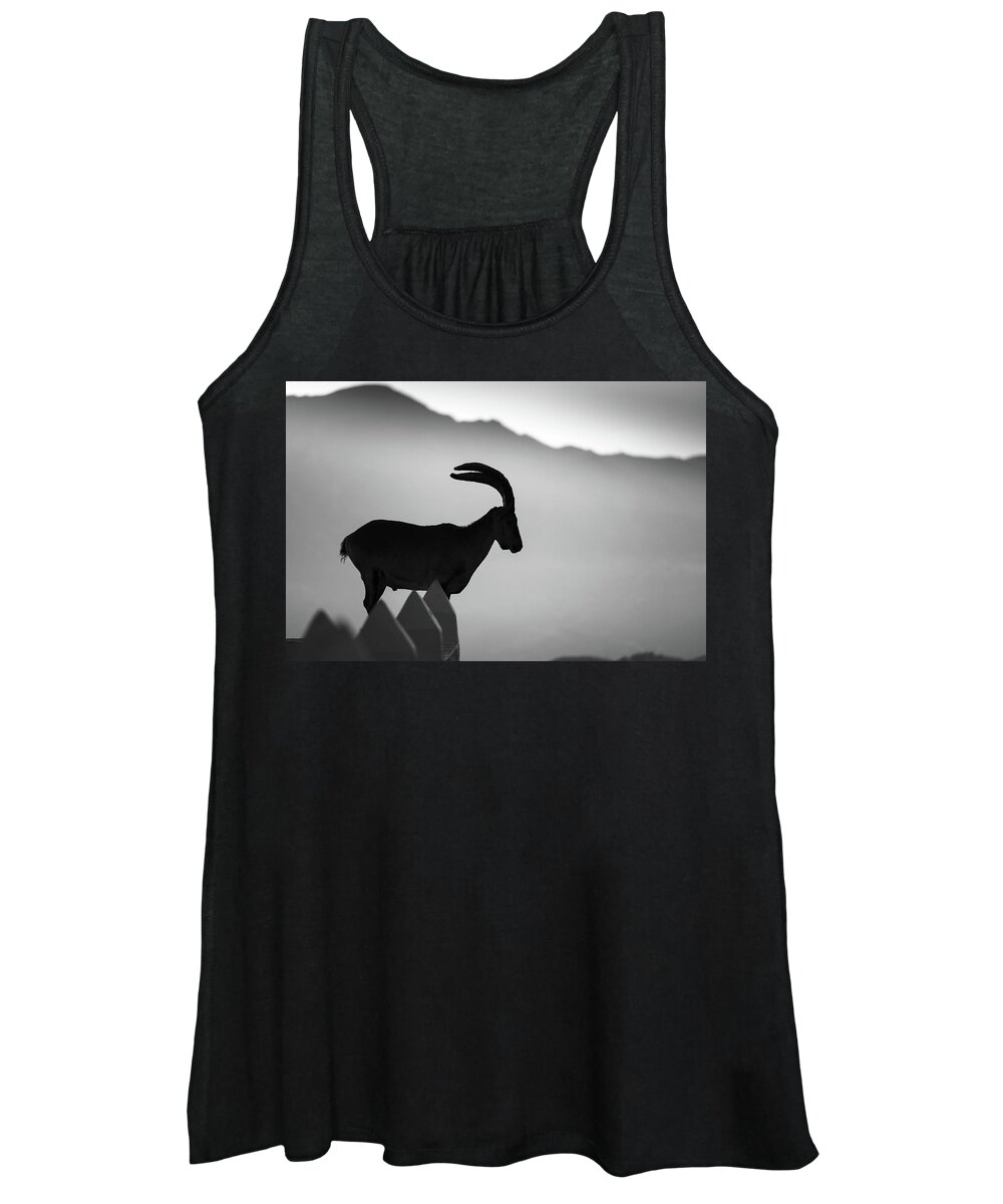 Ibex Women's Tank Top featuring the photograph Ibex by Gary Browne